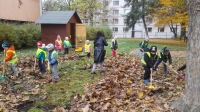 Mot&yacute;lci "pomocn&iacute;čci"