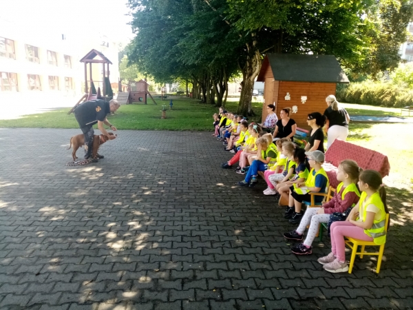 Bezpečn&yacute; pes - preventivn&iacute; program u Mot&yacute;lků