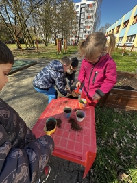 Rozkvetl&aacute; zahr&aacute;dka babičky Květy