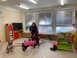 Pejci Husky ve &scaron;kolce