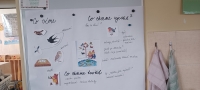 Straka nos&iacute; b&iacute;lou vestu