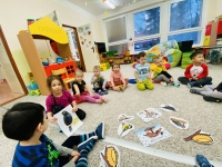 Koť&aacute;tka a jejich &scaron;kolkov&yacute; t&yacute;den na t&eacute;ma " Pt&aacute;čci v zimě"