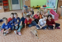 Sovičky dobr&eacute; skutky dělaj&iacute;