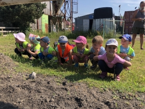 Koť&aacute;tka na v&yacute;letě za kon&iacute;ky
