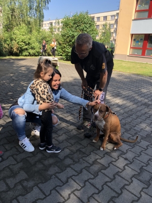 Bezpečn&yacute; pes - preventivn&iacute; program nejen pro Koť&aacute;tka