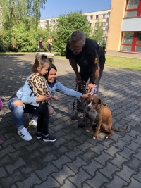 Bezpečn&yacute; pes - preventivn&iacute; program nejen pro Koť&aacute;tka