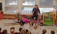 Husky v M&Scaron;