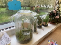 Př&iacute;běh O de&scaron;ťov&eacute; kapičce v Beru&scaron;k&aacute;ch