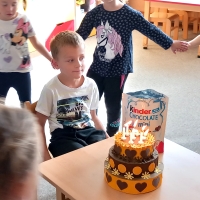 Mot&yacute;lci př&aacute;li k narozenin&aacute;m